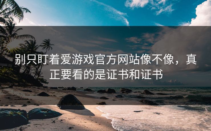 别只盯着爱游戏官方网站像不像，真正要看的是证书和证书
